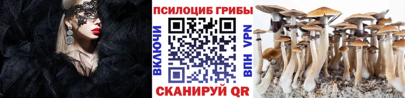 Псилоцибиновые грибы ЛСД  Гусев 