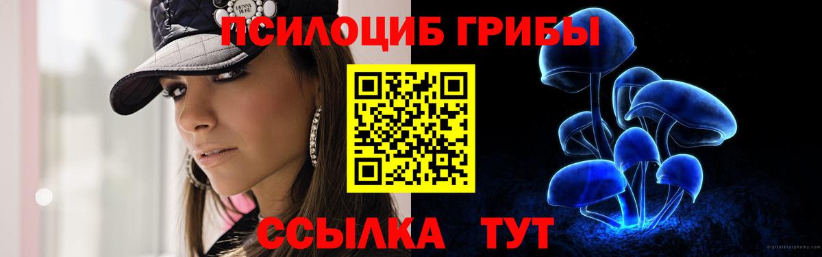 Гусев  Псилоцибиновые грибы MAGIC MUSHROOMS  Вход с VPN 